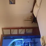 Selini * 쿠포니시아