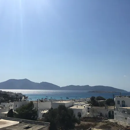 Selini * קופוניסיה